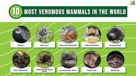 china are there any dangerous animals found